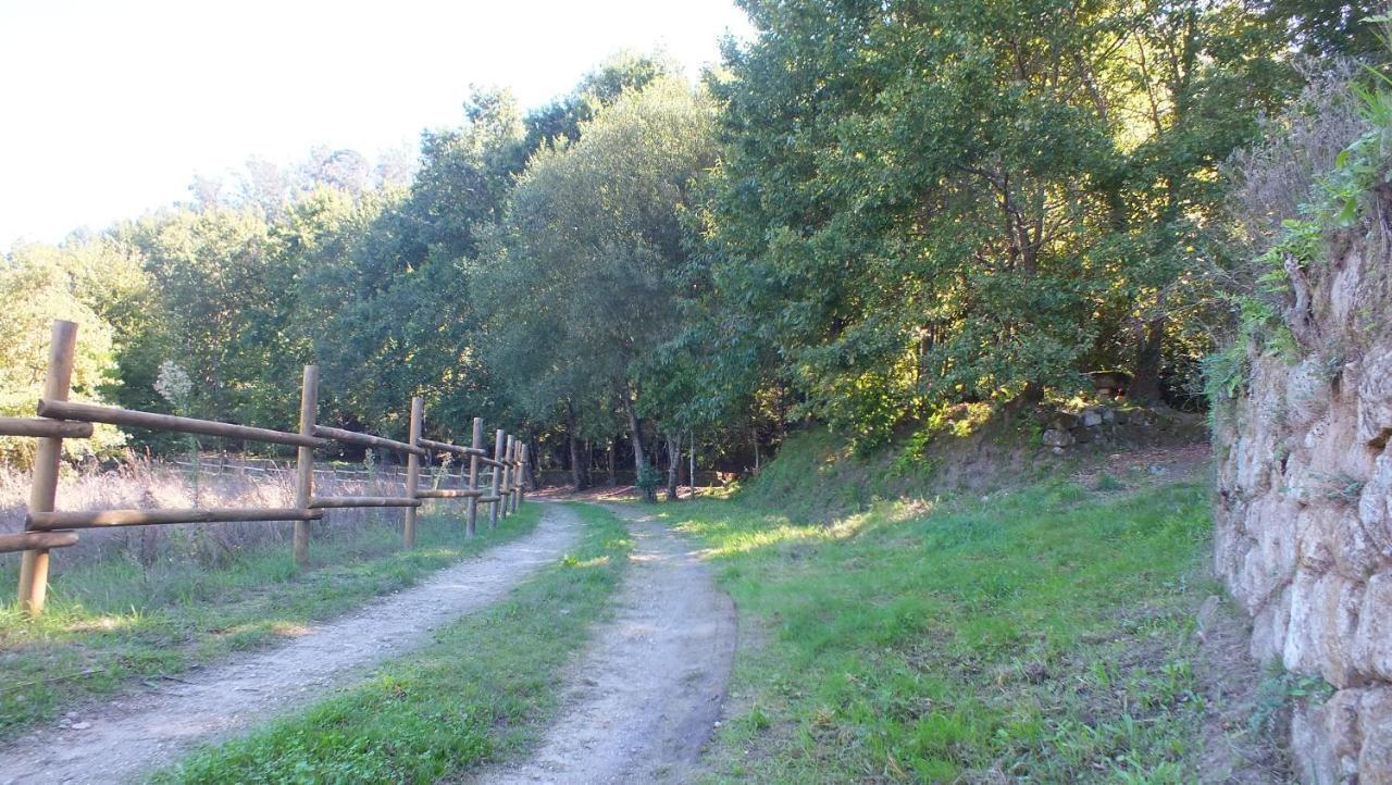 הוילה ווזלה Quinta Do Caritel מראה חיצוני תמונה
